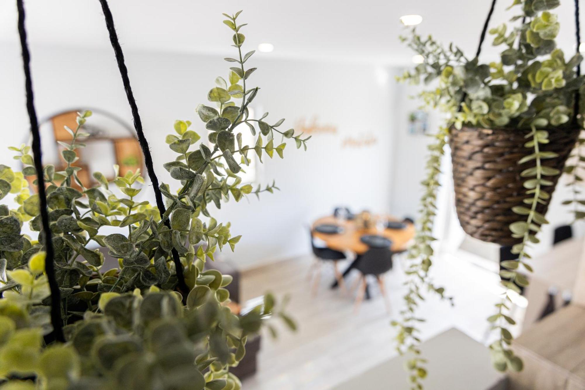 Av Curacao - Centrally Located Spacious Apartment Willemstad Eksteriør billede